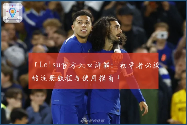 「Leisu官方入口详解：初学者必读的注册教程与使用指南」